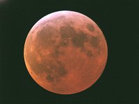 [The totally eclipsed Moon 03/03/07
(DGD).]
