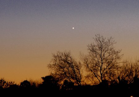 [Venus in the western evening sky Jan. 10 2007 (Image by
D.G.D.)]