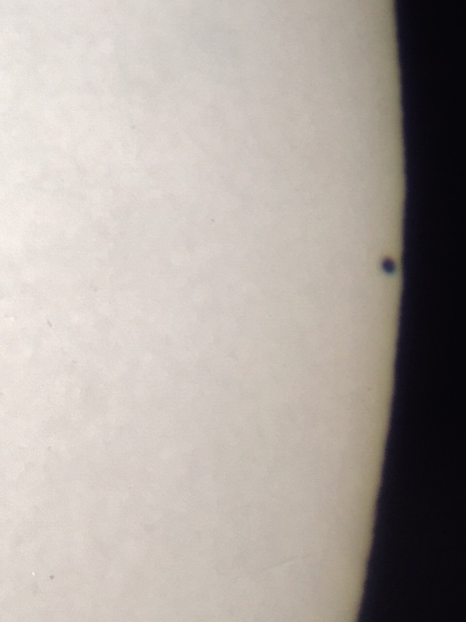 Mercury has Just Crossed the Sun's Limb